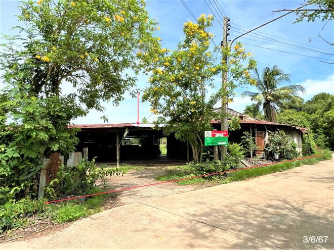 บ้านเชี่ยน หันคา ชัยนาท